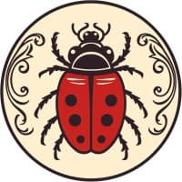 QA Oracle