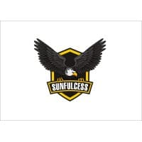 QINGDAO SUNFULCESS TYRE