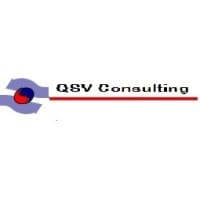 QSV Consulting