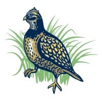 Quail Tools