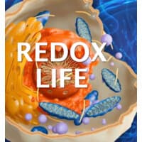 Redox Signaling Molecules
