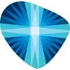 Remington Medical Inc.