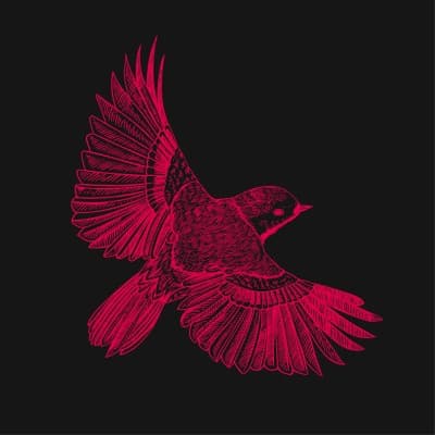 Robin Capital