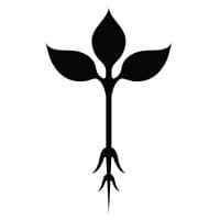 Roots Natural Kitchen