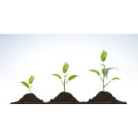 Roy Newey Growth Partnership