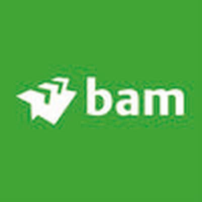 Royal BAM Group