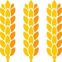 Saalemühle Alsleben GmbH