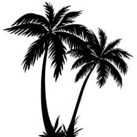 Sabbatical & Travel