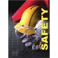 SafetyWins.com