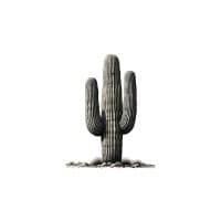 Saguaro Media