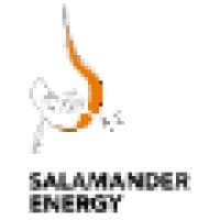 salamander energy (indonesia) limited