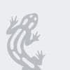 Salamander myWindow