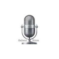 SalientVoice Ventures, LLC