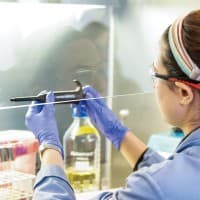 San José State University Research Foundation