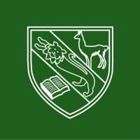san silvestre school