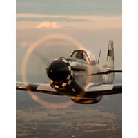 Scalewings Aircraft