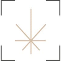 Scanleaf