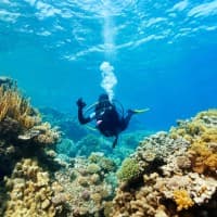 Scuba Diving
