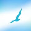 Seagull Advertising