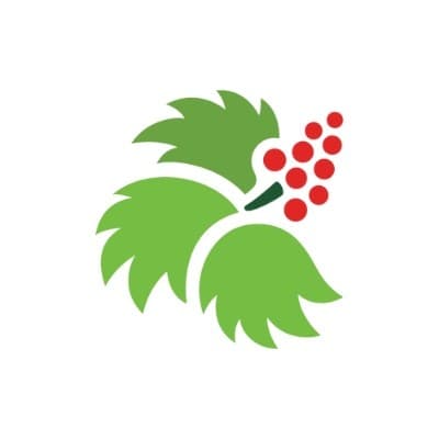 searhc