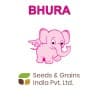 SEEDS & GRAINS INDIA PVT LTD