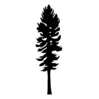 Sequoia Growth Partners