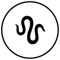 Serpentine Jewels