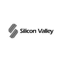 silicon valley group