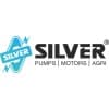Silver Pumps & Motors