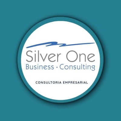Silver One Business Consulting