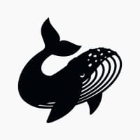 Simbiotica Finance