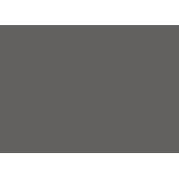 skandia investment group