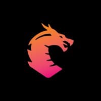 Skill Dragon