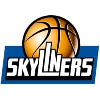 SKYLINERS