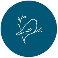 Smockingbird, Inc.