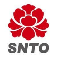 SNTO Holdings Group Limited
