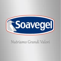 Soavegel S.r.l.
