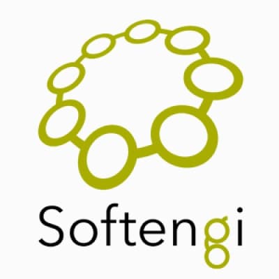 Softengi