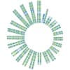 Soleno Therapeutics, Inc.
