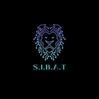 Somalis In Business And Tech (SIBAT)