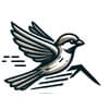 SparrowView Consulting LLC