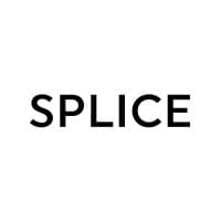 splice post