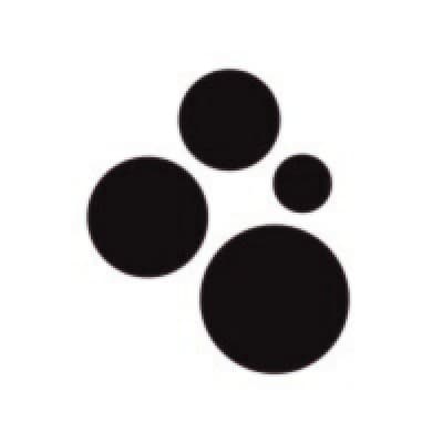 Spot AI