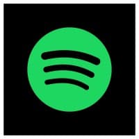 Spotify Music Promotion