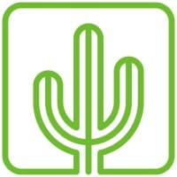 Square Cactus