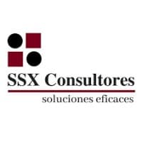 SSX CONSULTORES & AUDITORES
