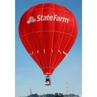 State Farm Insurance Inc