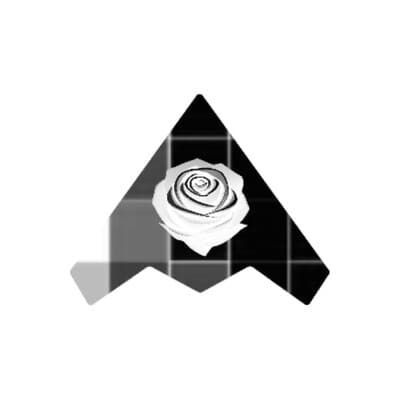 Stealth Mode AI Venture