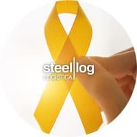Steel Log