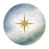 STEERus